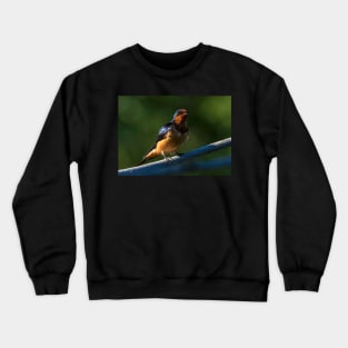 Barn Swallow on a Branch Crewneck Sweatshirt